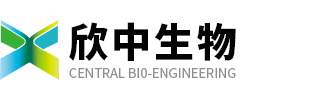 开云体育押注网址